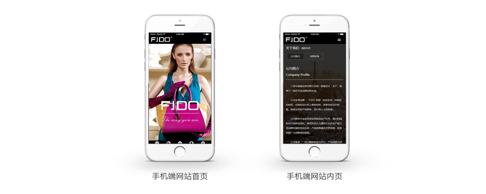 FJDO(图4)